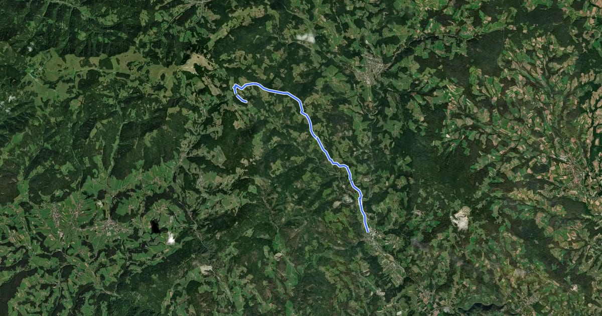 Маршрут Wanderweg 64 на спутниковом снимке