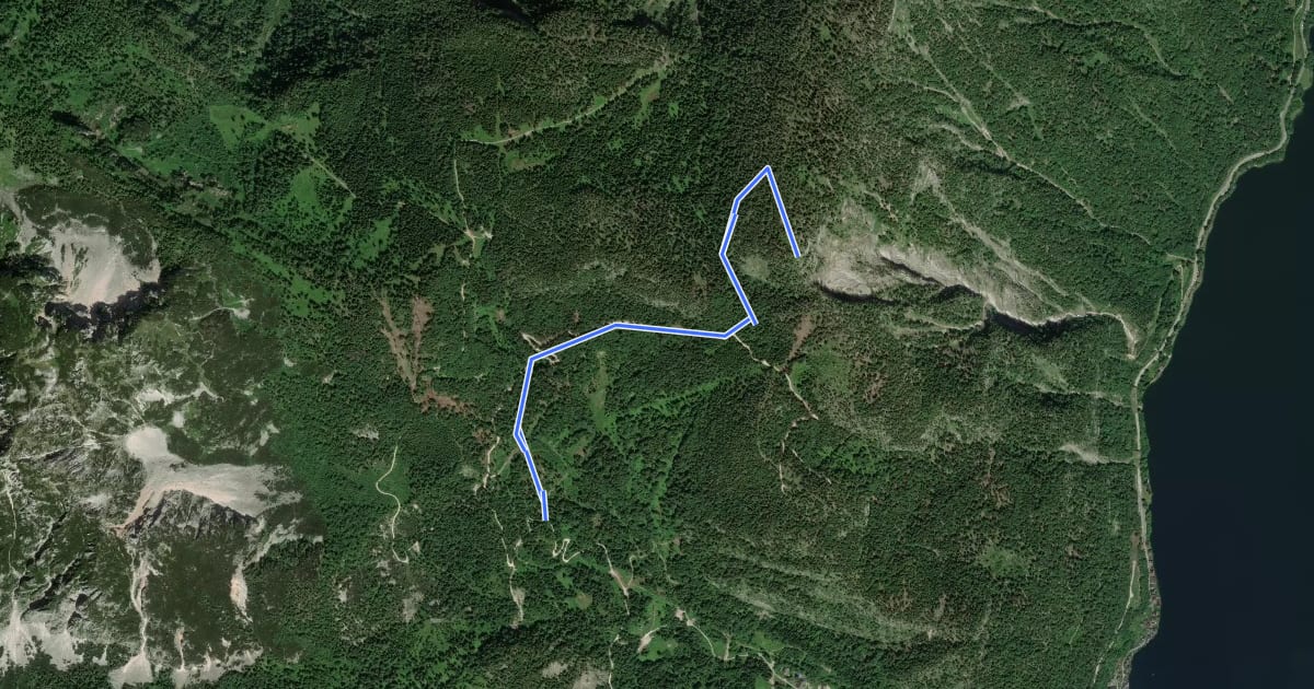Маршрут Wanderweg 642 на спутниковом снимке
