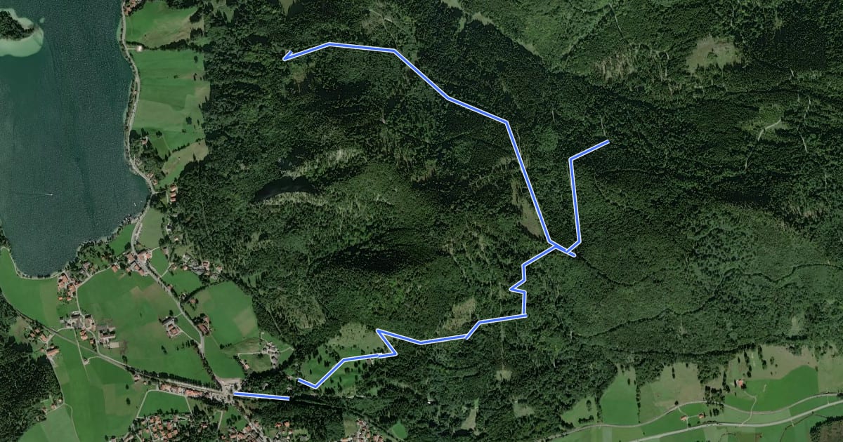 Маршрут Wanderweg 670a - Schliersee на спутниковом снимке