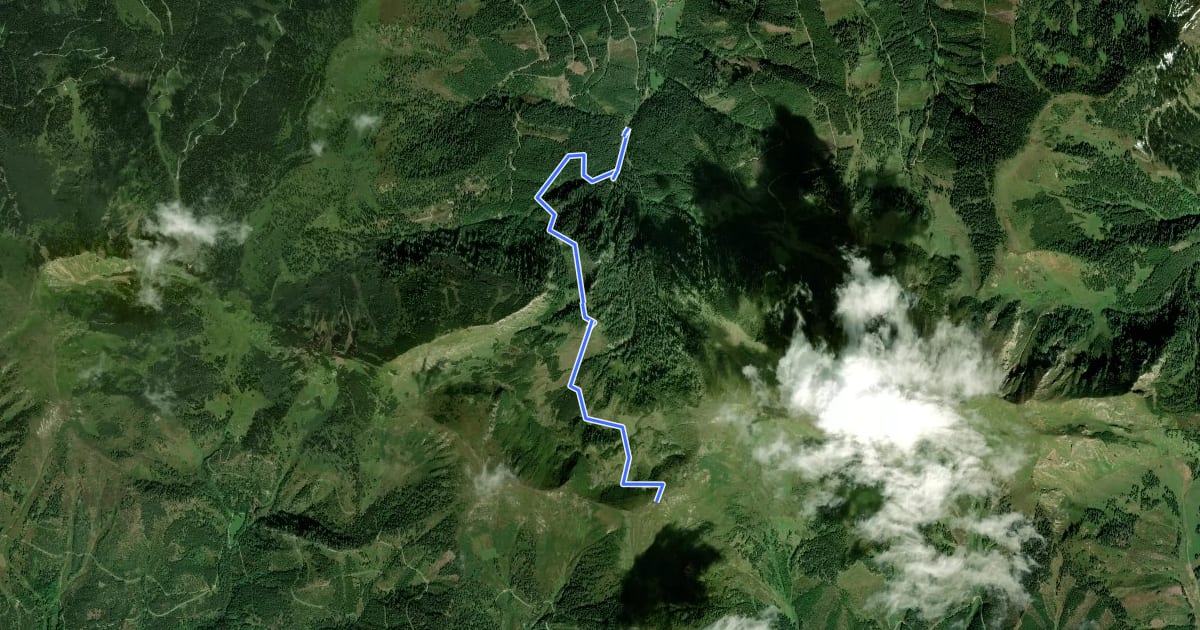 Маршрут Wanderweg 677a на спутниковом снимке