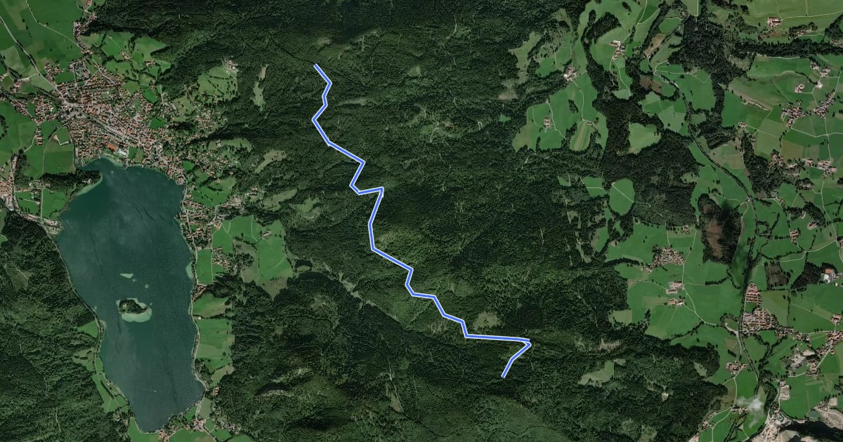 Маршрут Wanderweg 680 Schliersberg - Breitenberg на спутниковом снимке