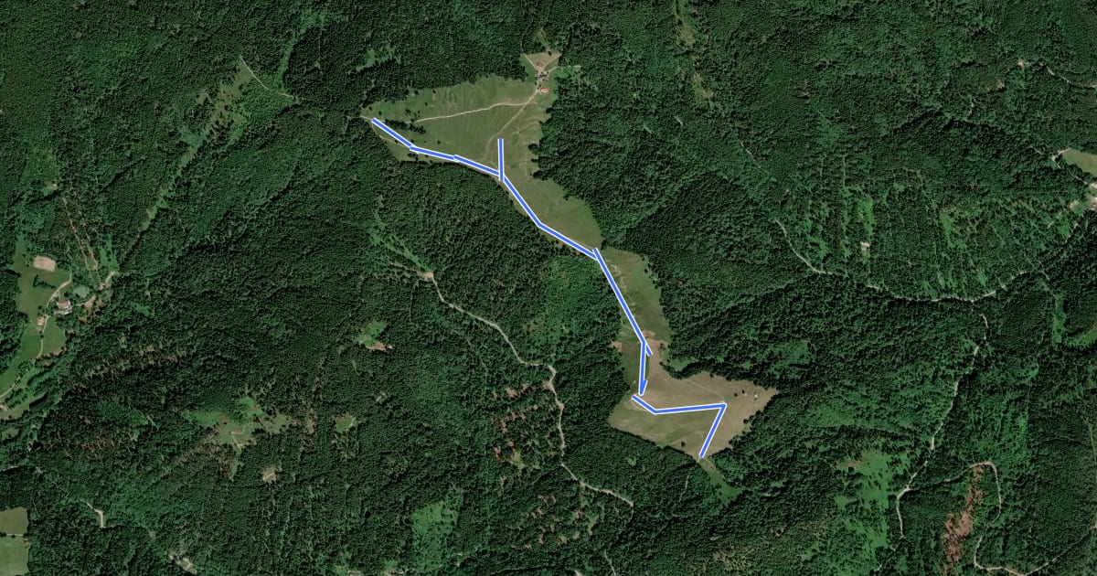 Маршрут Wanderweg 684 - Bayrische Voralpen на спутниковом снимке