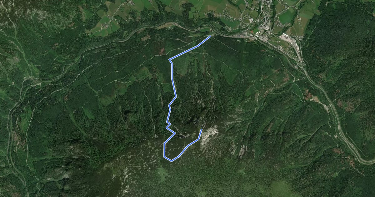 Маршрут Wanderweg 695 на спутниковом снимке