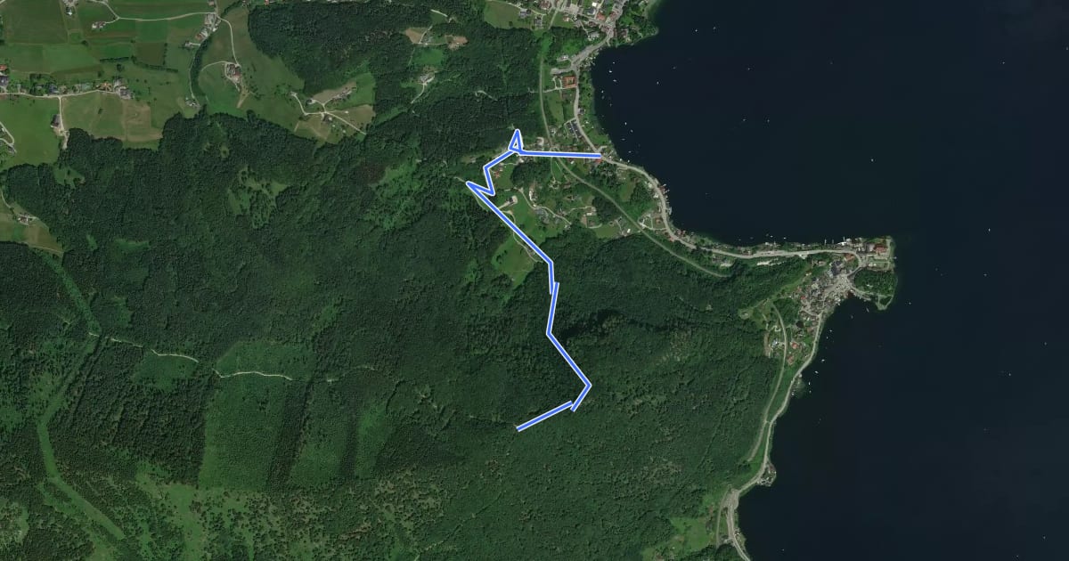 Маршрут Wanderweg 7 на спутниковом снимке