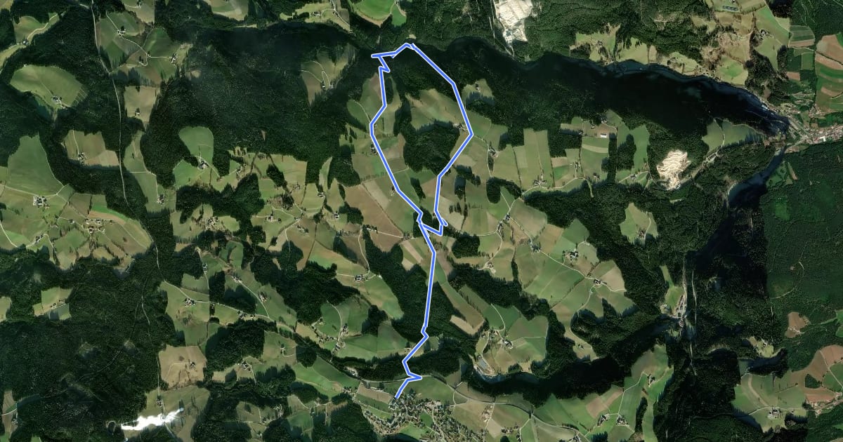 Маршрут Wanderweg 7 на спутниковом снимке