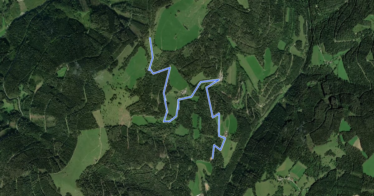 Маршрут Wanderweg 7 на спутниковом снимке