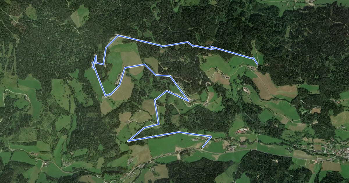 Маршрут Wanderweg 7 на спутниковом снимке