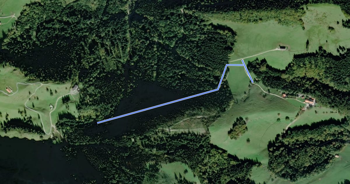 Маршрут Wanderweg 71 - Hochfelln на спутниковом снимке