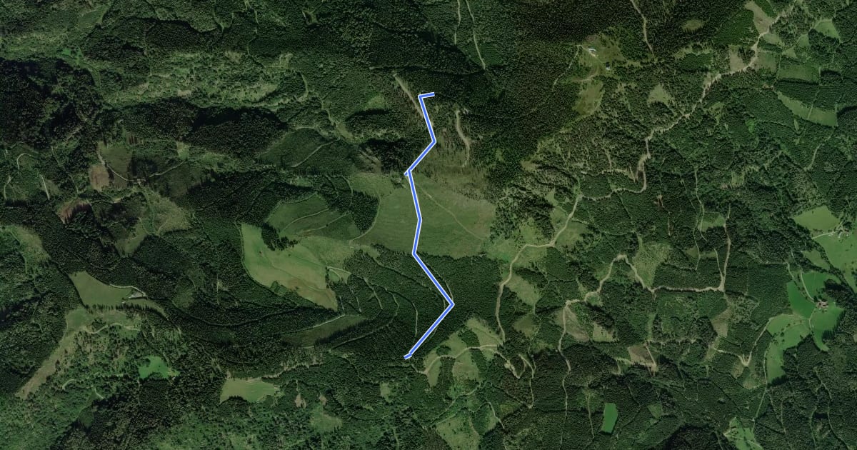 Маршрут Wanderweg 712a на спутниковом снимке