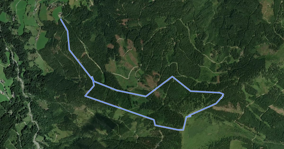 Маршрут Wanderweg 723 на спутниковом снимке