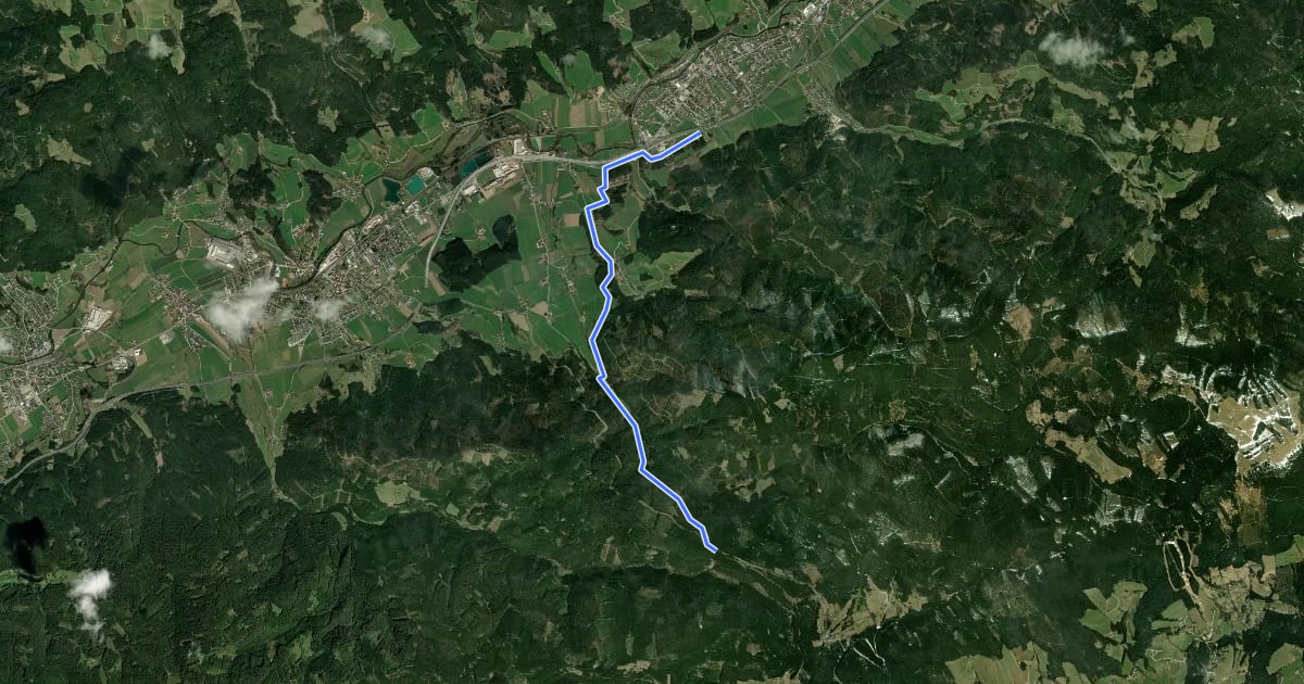 Маршрут Wanderweg 732 на спутниковом снимке