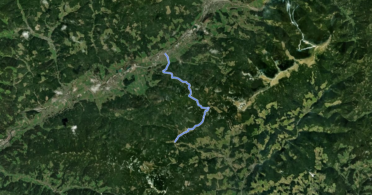 Маршрут Wanderweg 735 на спутниковом снимке
