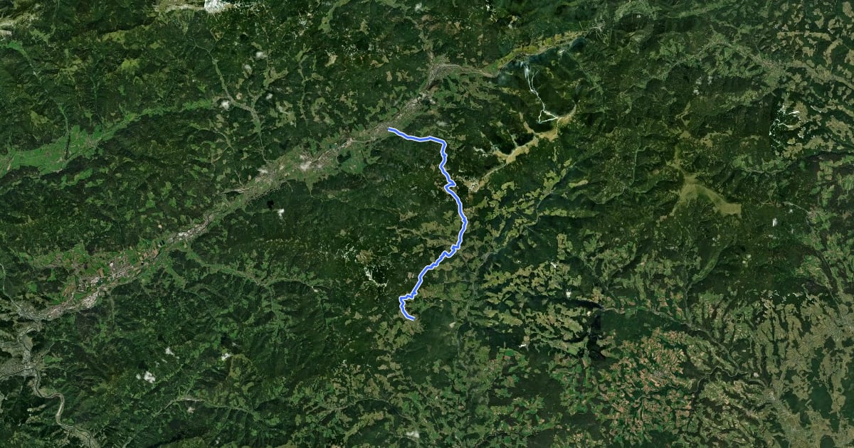Маршрут Wanderweg 736 Hauereck на спутниковом снимке