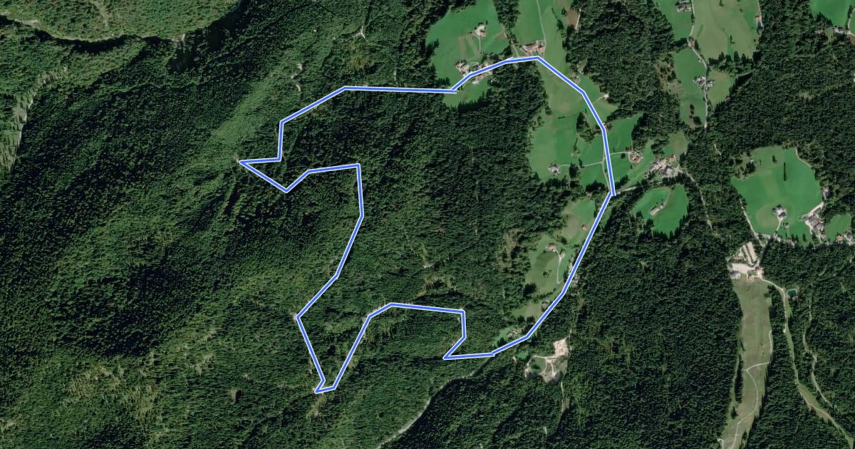 Маршрут Wanderweg 76 (Rund um den Ochsenkopf) на спутниковом снимке