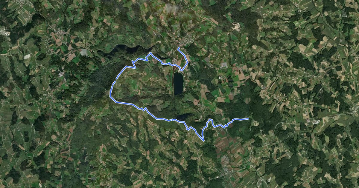 Маршрут Wanderweg 771 на спутниковом снимке