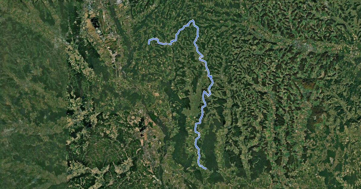 Маршрут Wanderweg 791 на спутниковом снимке