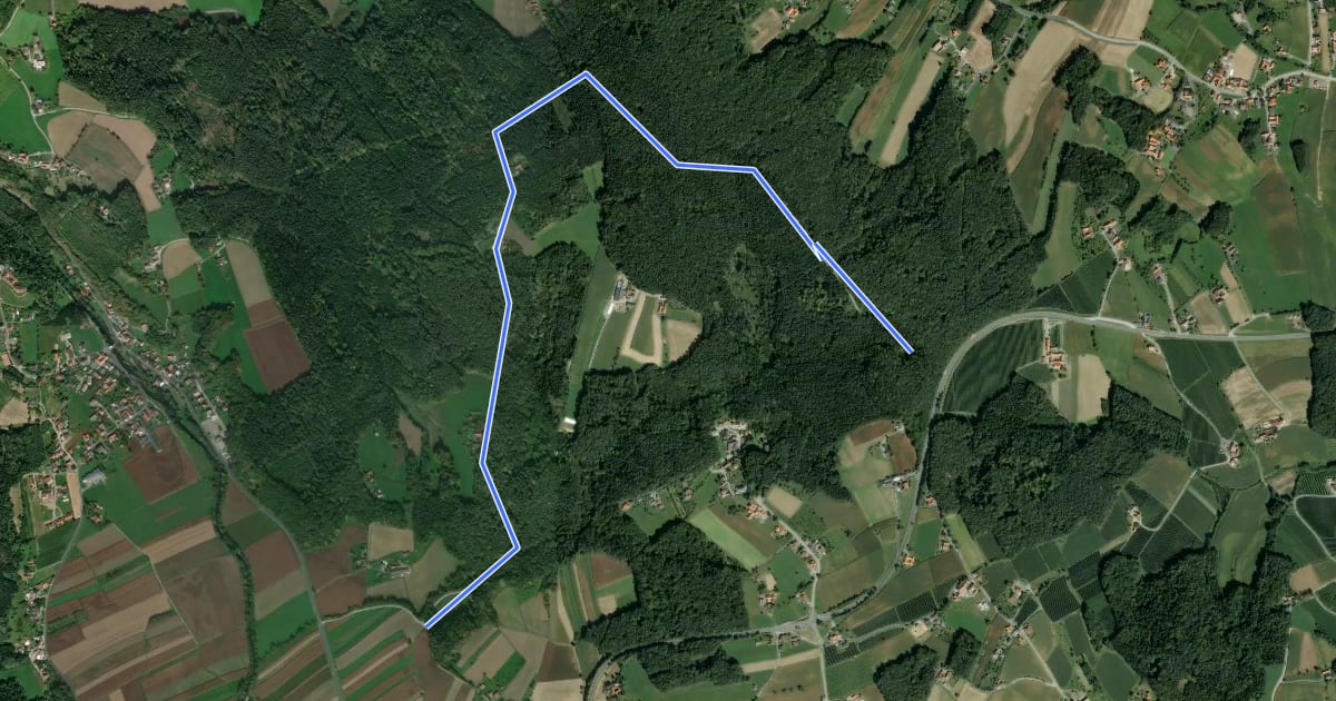 Маршрут Wanderweg 8 на спутниковом снимке