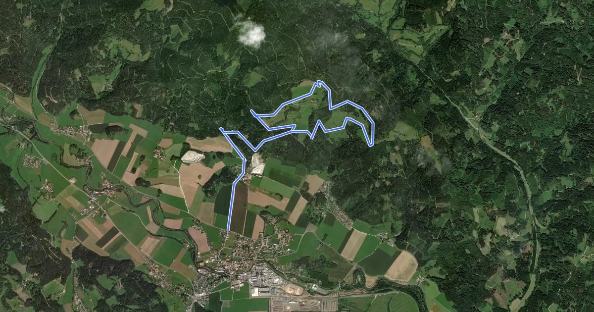 Маршрут Wanderweg 8 на спутниковом снимке