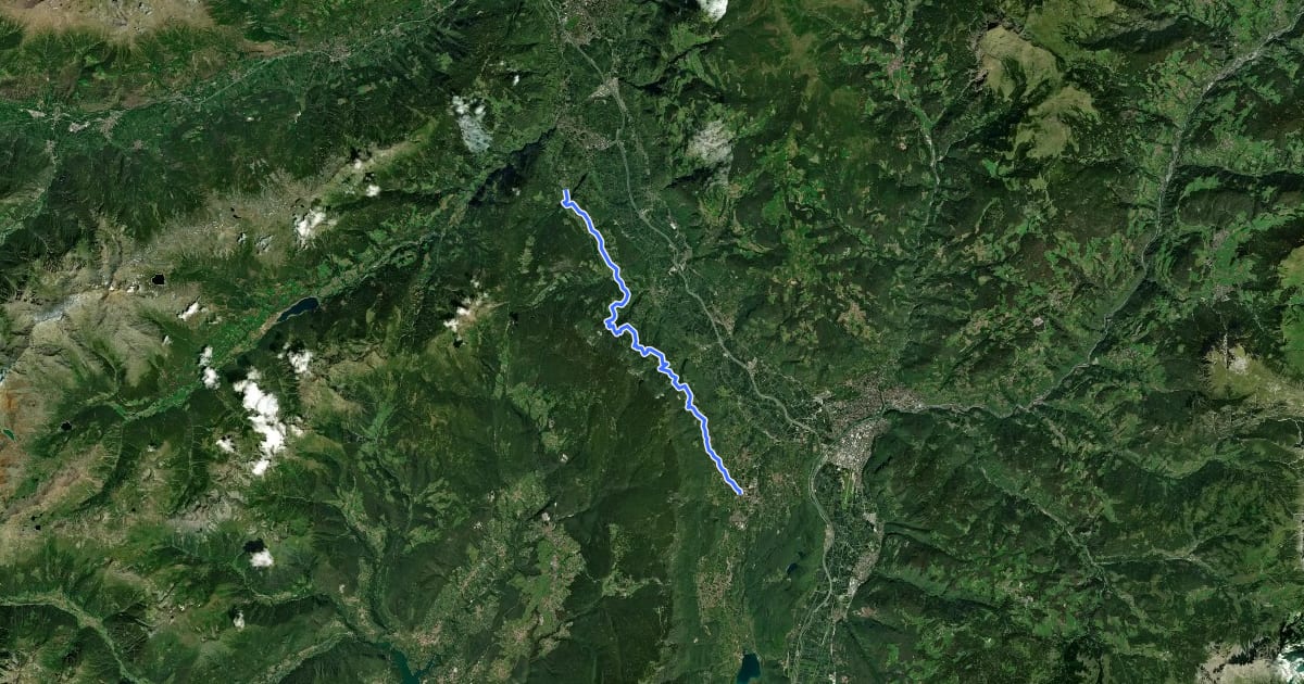 Маршрут Wanderweg 8 на спутниковом снимке