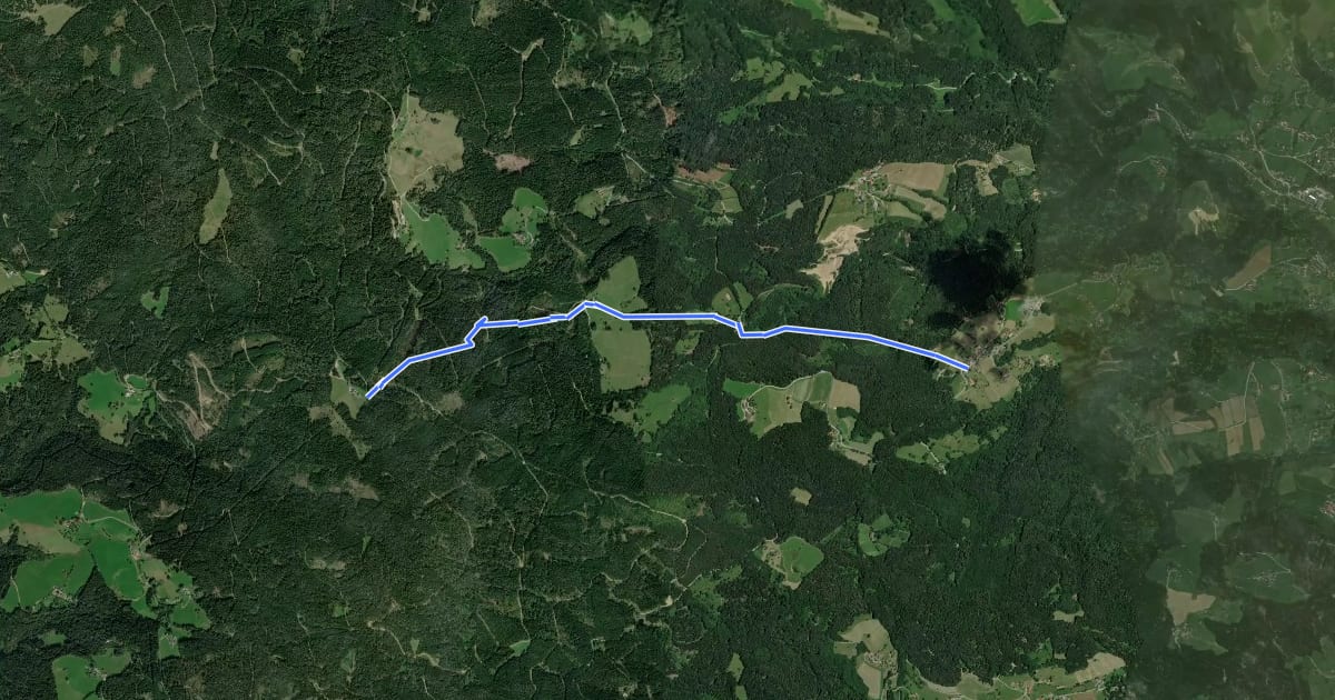 Маршрут Wanderweg 8 на спутниковом снимке