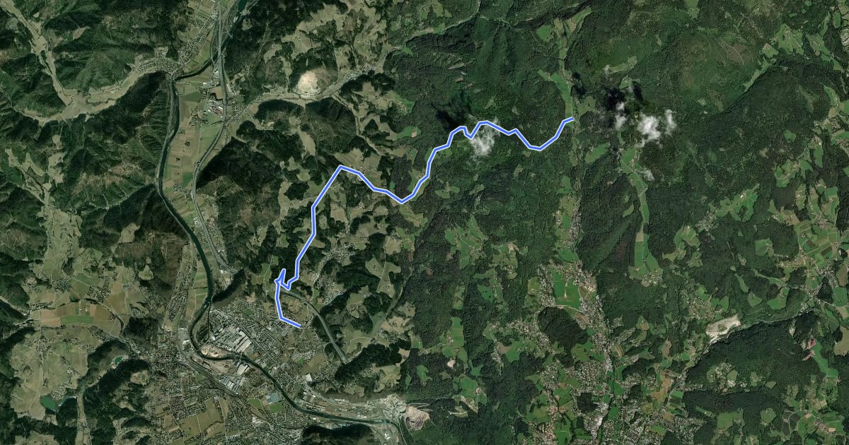 Маршрут Wanderweg 8 на спутниковом снимке