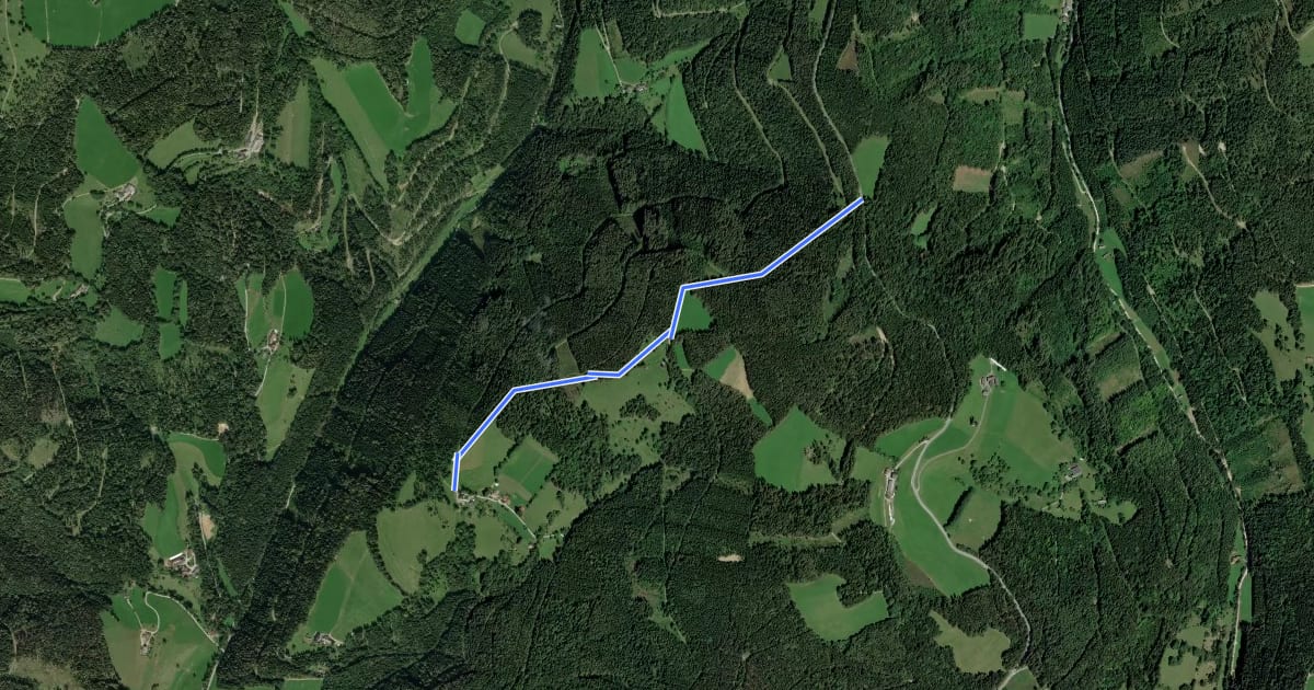 Маршрут Wanderweg 8 на спутниковом снимке