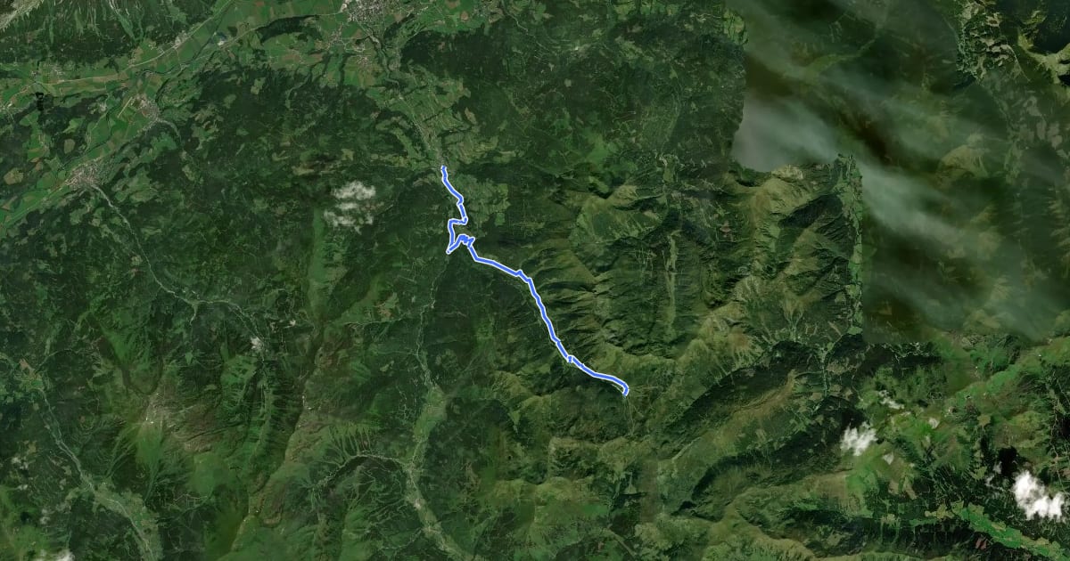 Маршрут Wanderweg 8 на спутниковом снимке
