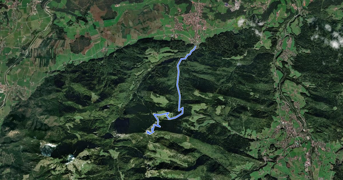 Маршрут Wanderweg 8 - Hochfelln на спутниковом снимке