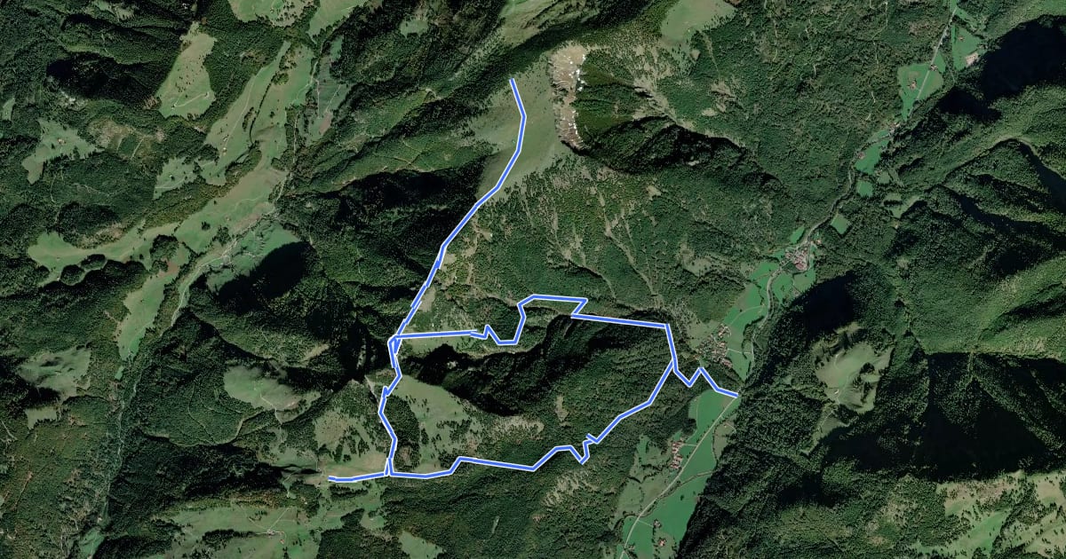 Маршрут Wanderweg 8 - Von Innerwald zum Spitzsteinhaus bzw. Klausenhütte на спутниковом снимке
