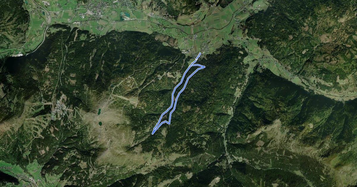 Маршрут Wanderweg 80, Greinwald Rundweg на спутниковом снимке