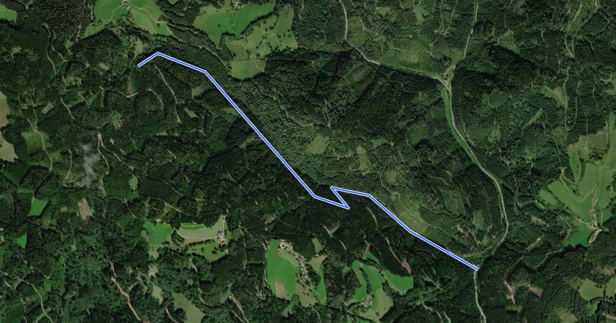 Маршрут Wanderweg на спутниковом снимке