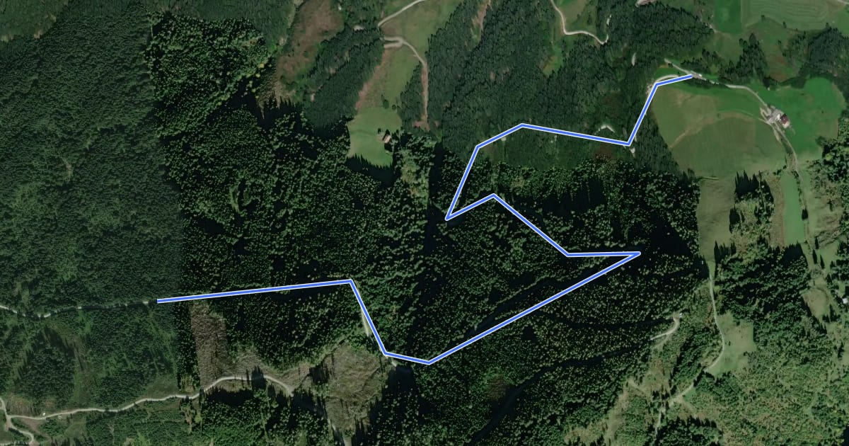 Маршрут Wanderweg 80a на спутниковом снимке