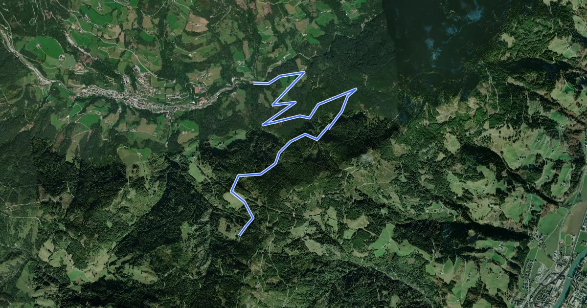 Маршрут Wanderweg 81 на спутниковом снимке