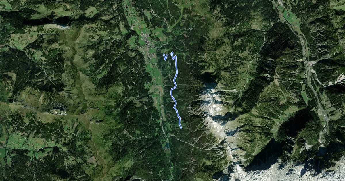 Маршрут Wanderweg 81 на спутниковом снимке