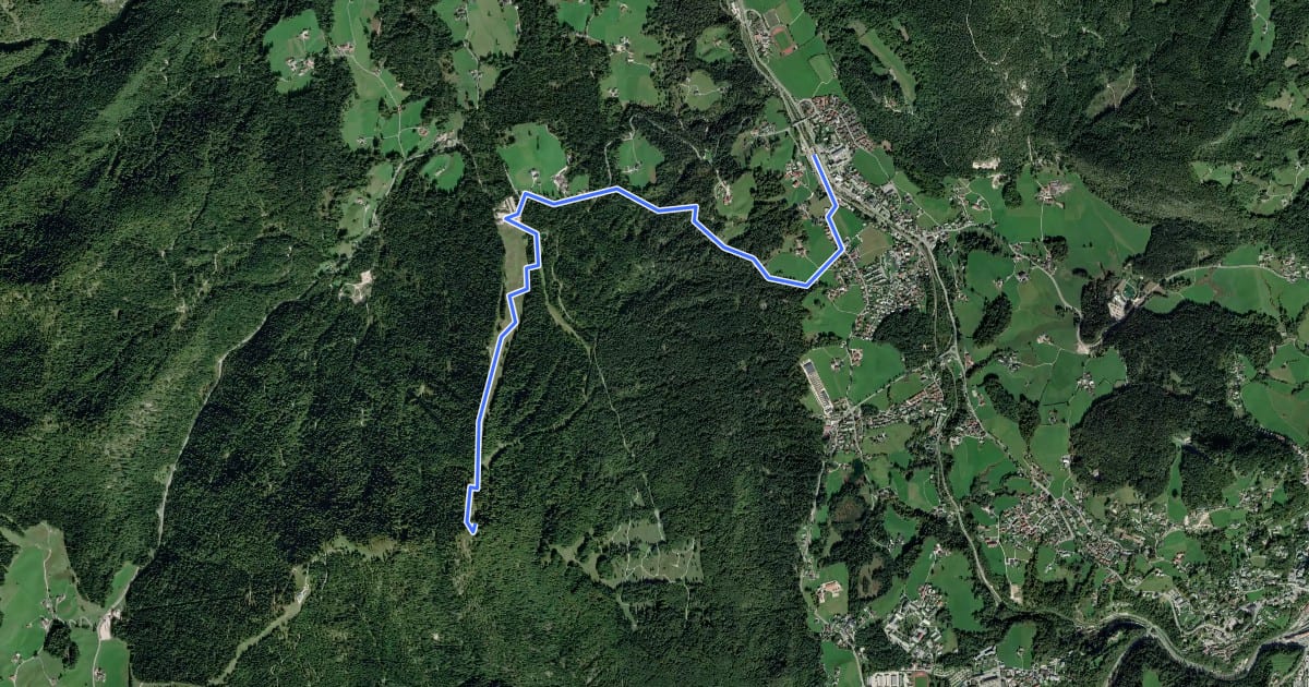 Маршрут Wanderweg 81 на спутниковом снимке