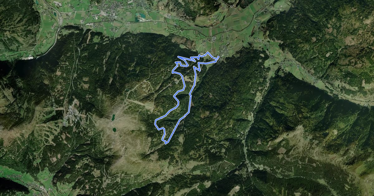 Маршрут Wanderweg 81, Brentaberg Rundweg на спутниковом снимке
