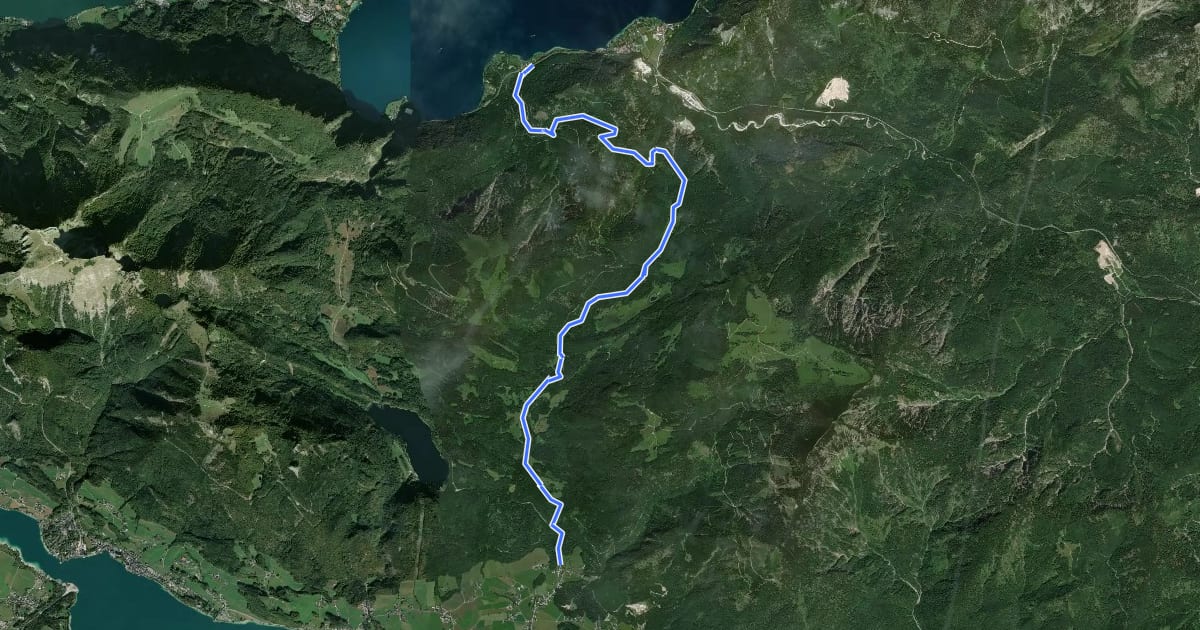 Маршрут Wanderweg 811 на спутниковом снимке
