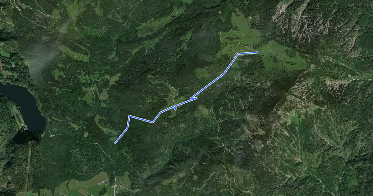 Маршрут Wanderweg 813 на спутниковом снимке