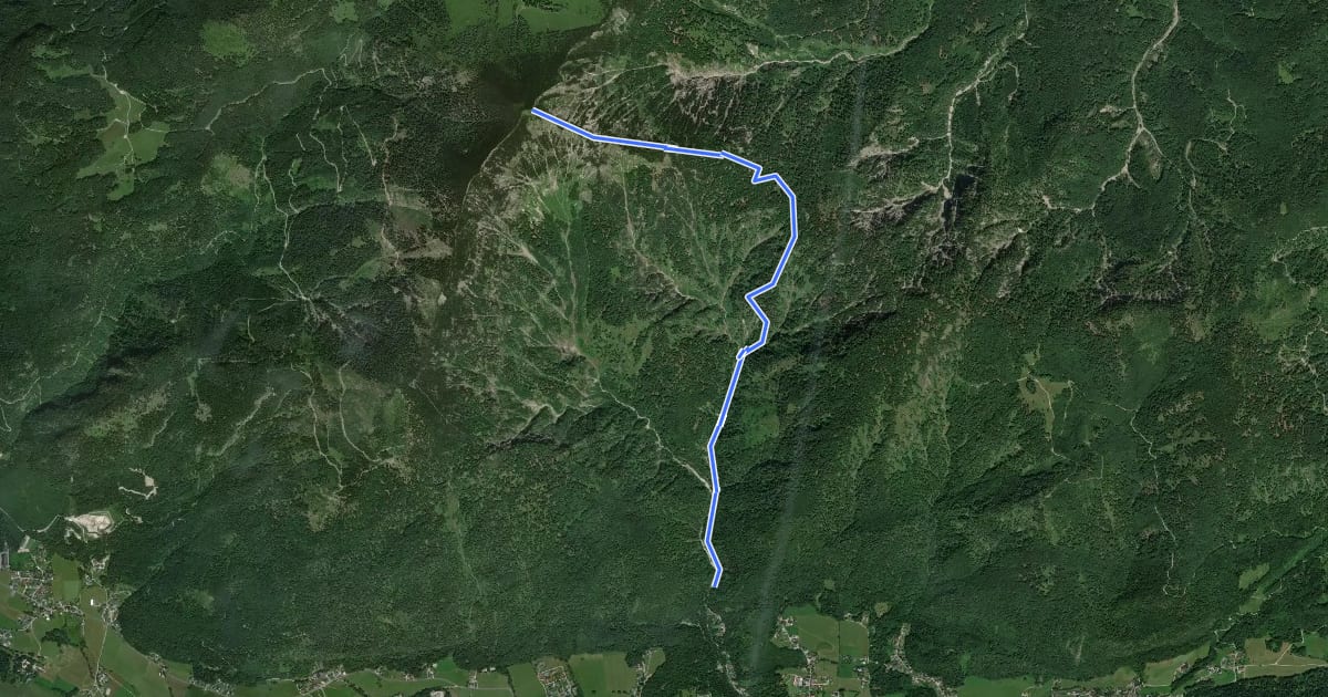 Маршрут Wanderweg 816 на спутниковом снимке