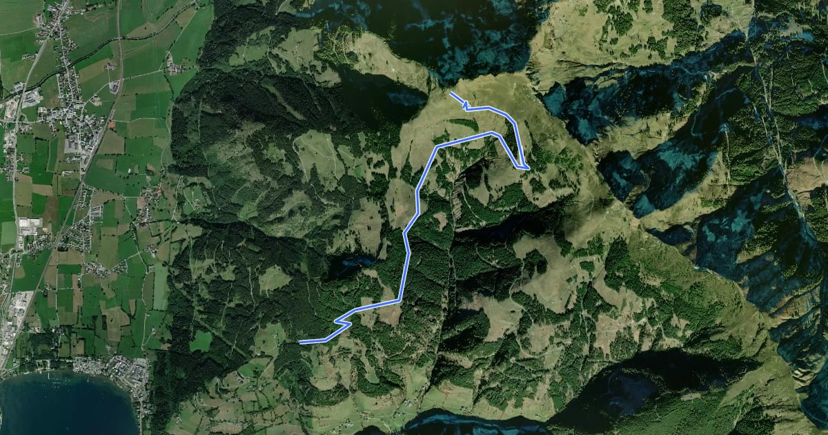 Маршрут Wanderweg 83 на спутниковом снимке