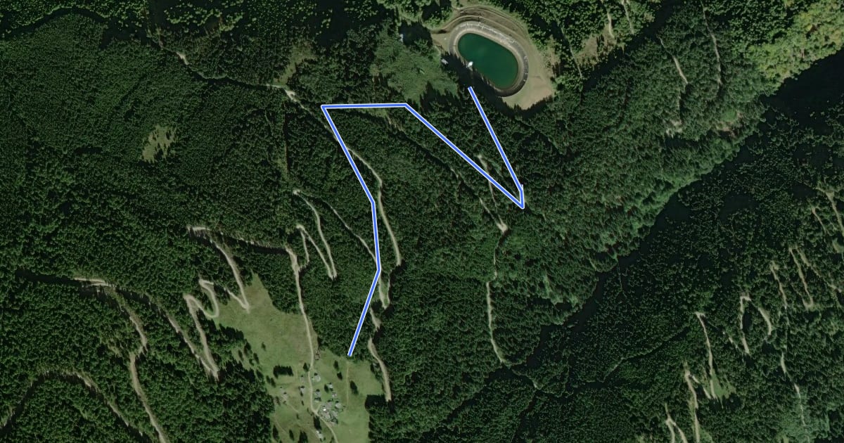 Маршрут Wanderweg на спутниковом снимке