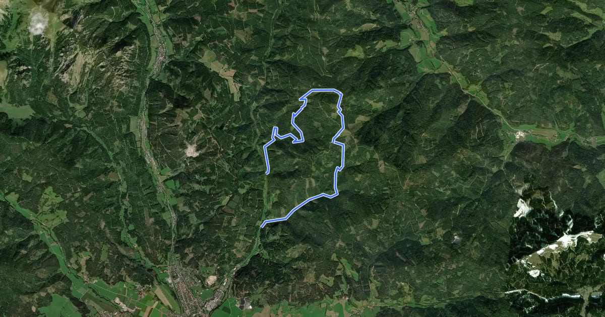 Маршрут Wanderweg 881 на спутниковом снимке