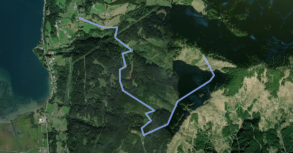 Маршрут Wanderweg 89 на спутниковом снимке