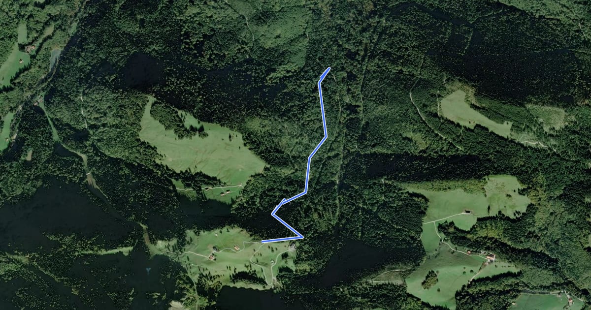 Маршрут Wanderweg 8a - Hochfelln на спутниковом снимке