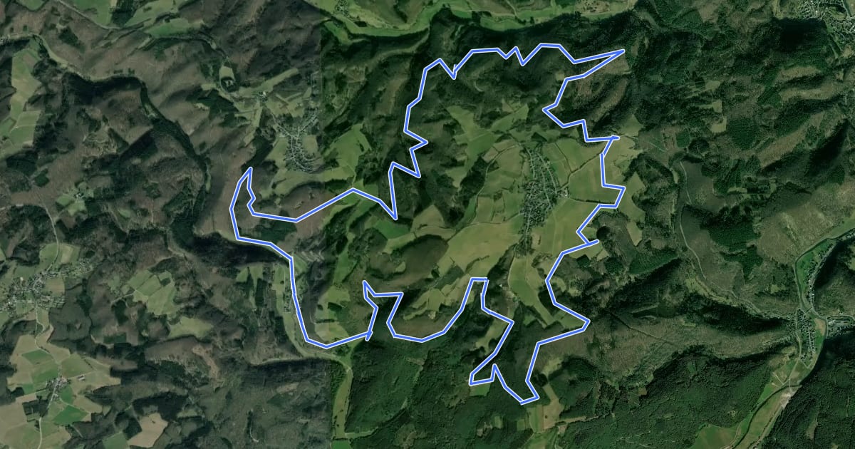 Маршрут Wanderweg 9 на спутниковом снимке
