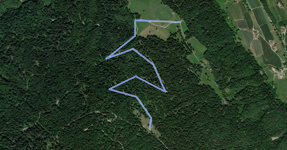 Маршрут Wanderweg 9 на спутниковом снимке