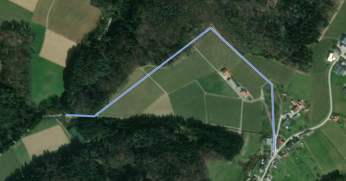 Маршрут Wanderweg 9 на спутниковом снимке