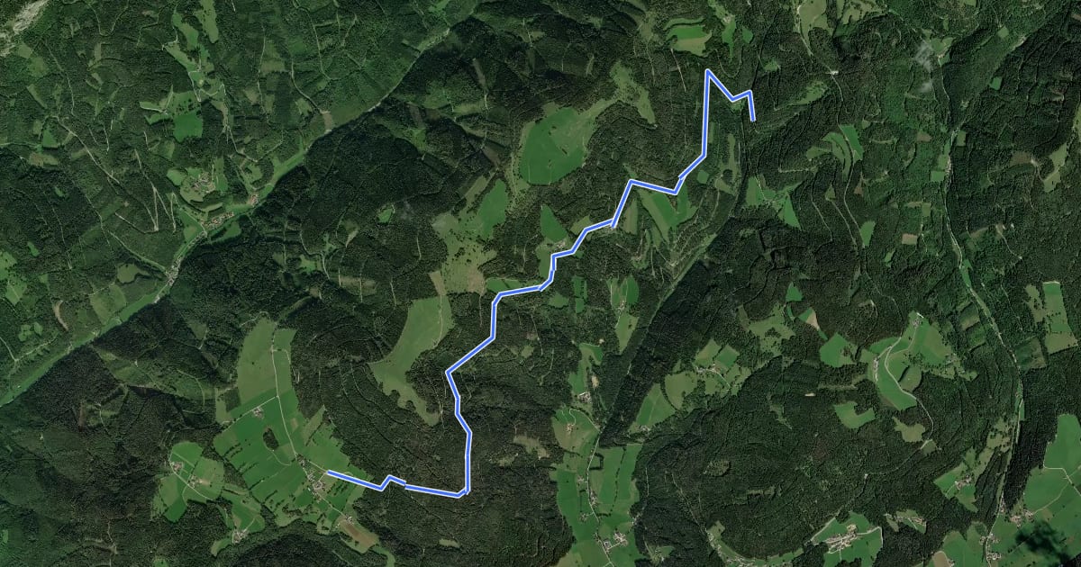Маршрут Wanderweg 9 на спутниковом снимке