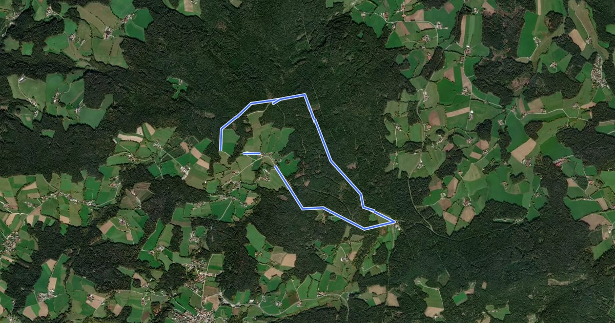 Маршрут Wanderweg 9 на спутниковом снимке