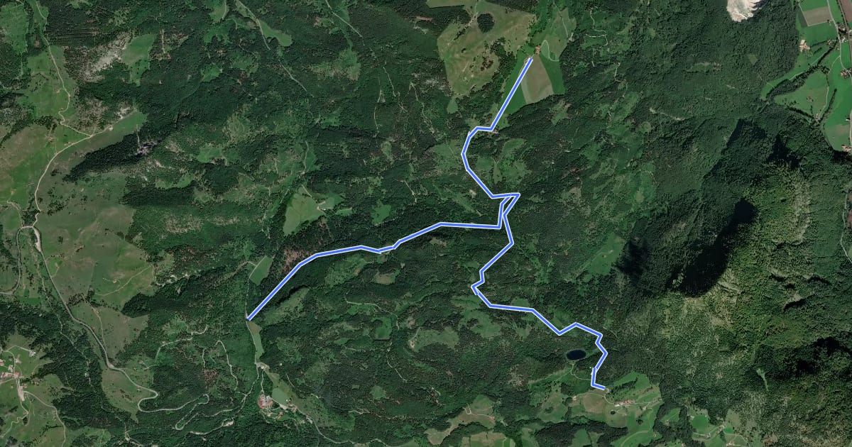 Маршрут Wanderweg 9 - Oberaudorf на спутниковом снимке